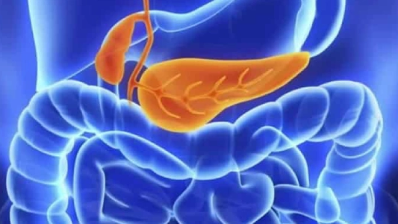 Pancreatite: O que é, sintomas, tratamentos e causas - Instituto Jorge Reina